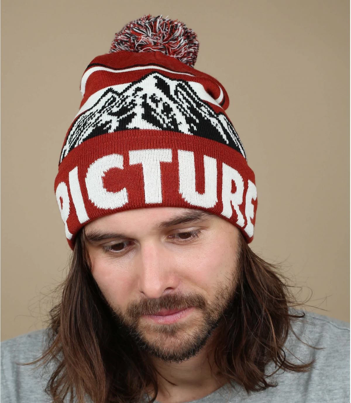 Picture Bernie Beanie Brick 1 Picture Bernie Beanie Brick
