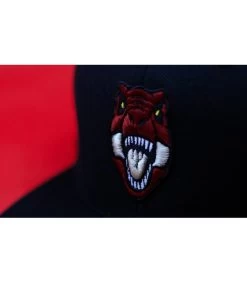 Snapback Kids Never Forget -Chapeau Chic Soldes Boutique snapback kids never forget20snapback20enfant20dinosaure