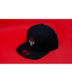 Snapback Kids Never Forget -Chapeau Chic Soldes Boutique snapback kids never forgetsnapback20enfant20dinosaure